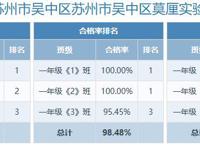 莫厘实验小学体质健康四率统计